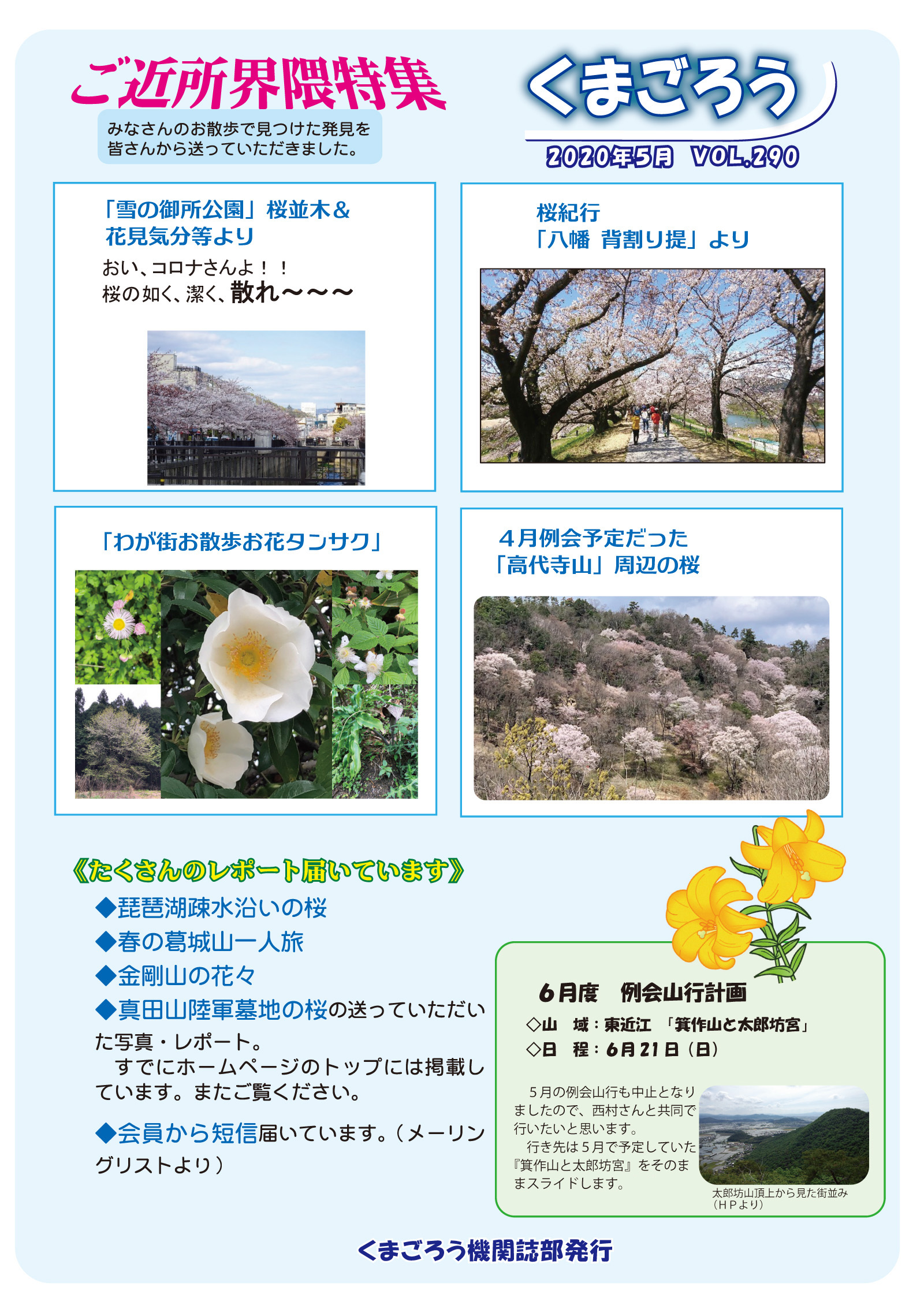 2020年5月 290号