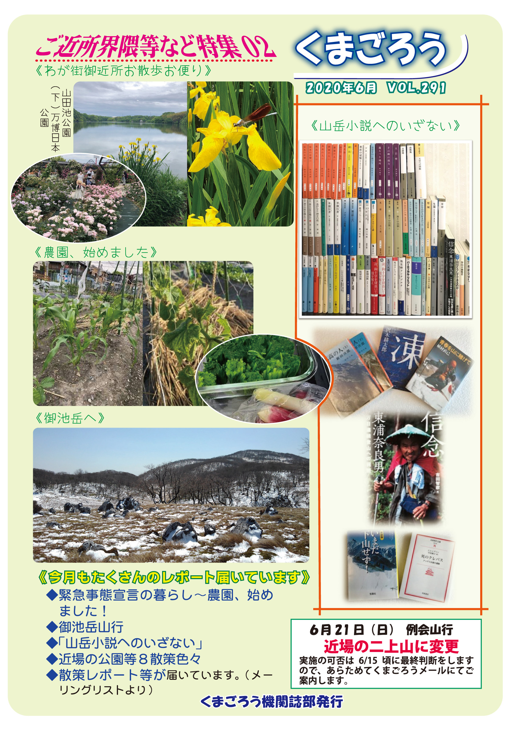 2020年6月 291号